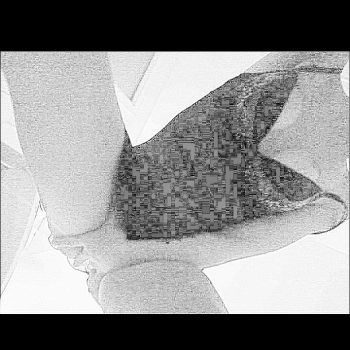 Dounia - Cormondes - Fribourg | Speed Dating