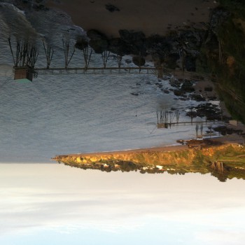 Rameaux - Hinteregg - Zurich | Speed Dating