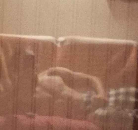 Raoulx - Echichens - Vaud | Speed Dating