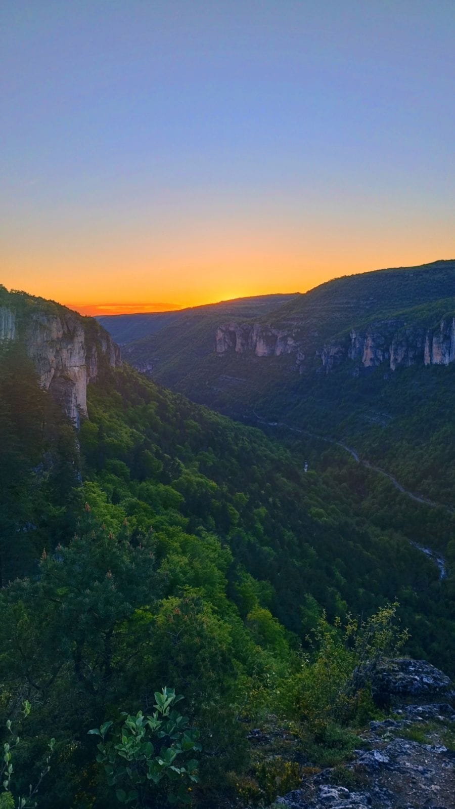 Farrel - Alt St. Johann - Saint-Gall | Speed Dating