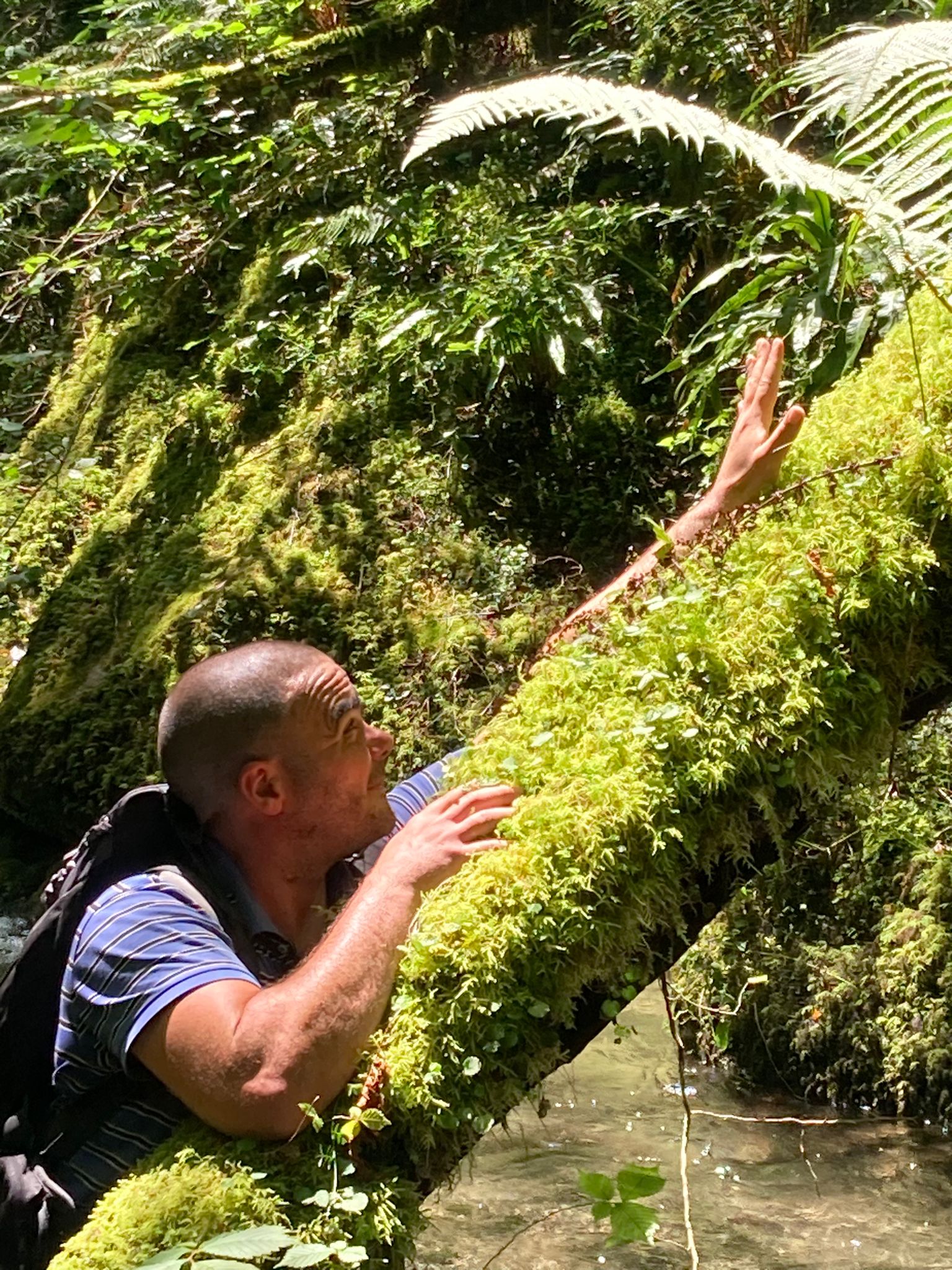 Micheal - Gutenswil - Zurich | Speed Dating