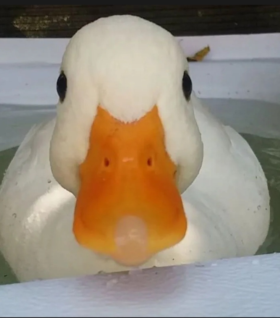 Semih - Le Prévoux - Neuchâtel | Speed Dating