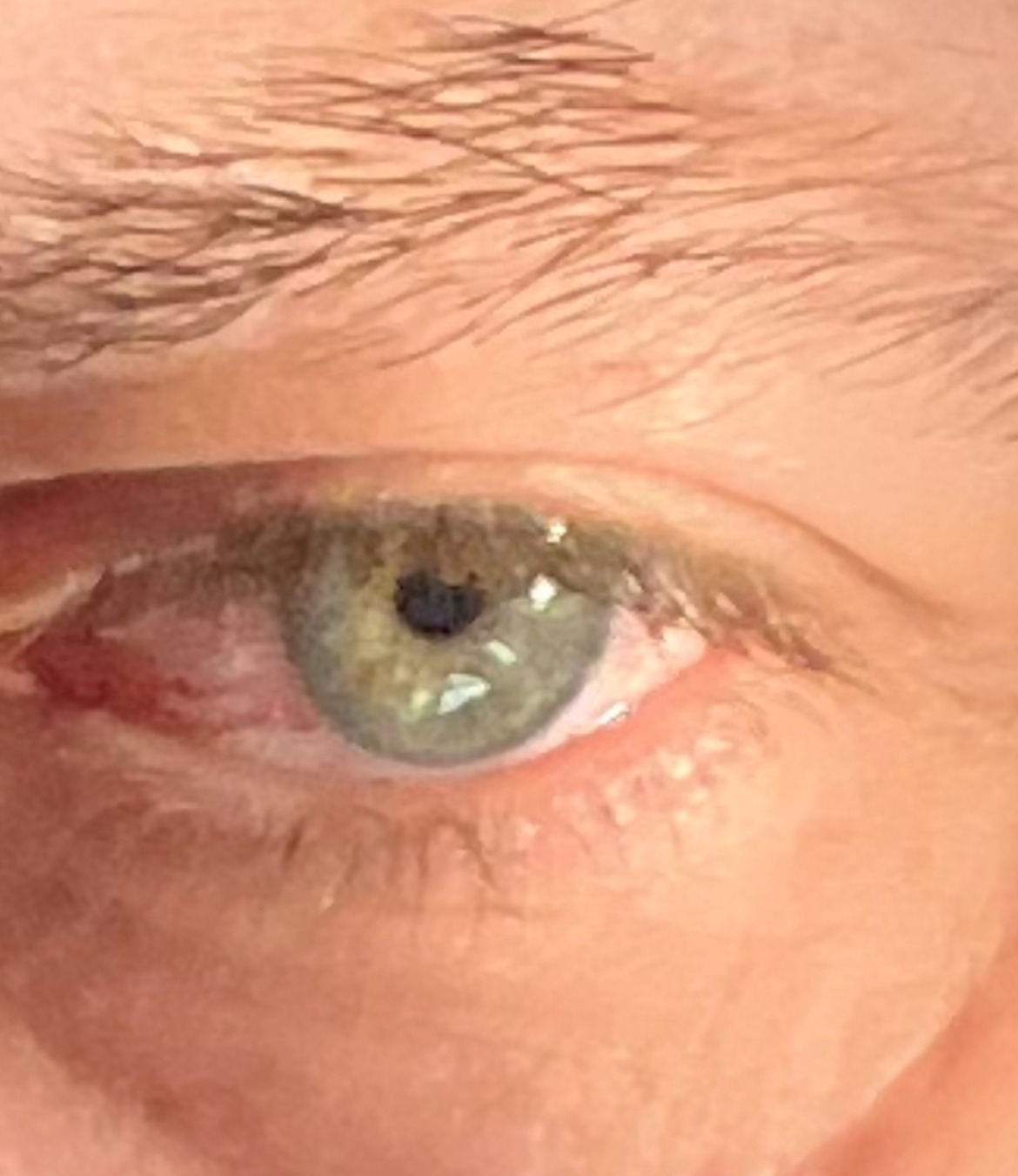 Fausto - Castiel - Grisons | Speed Dating