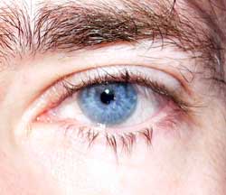 Jean-yvon - Fajauna - Grisons | Speed Dating