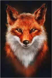 Basekou - Bonfol - Jura | Speed Dating